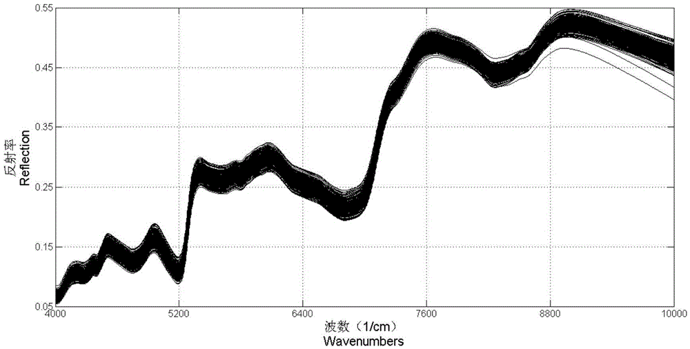 Cottonseed gossypol content non-destructive measurement method based on near-infrared spectrum technology