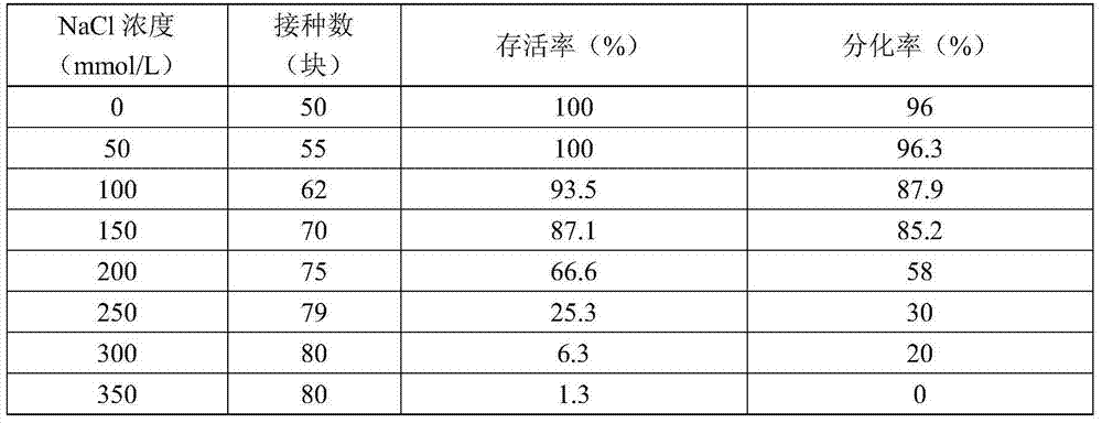 Method for screening dandelion salt-tolerance mutants