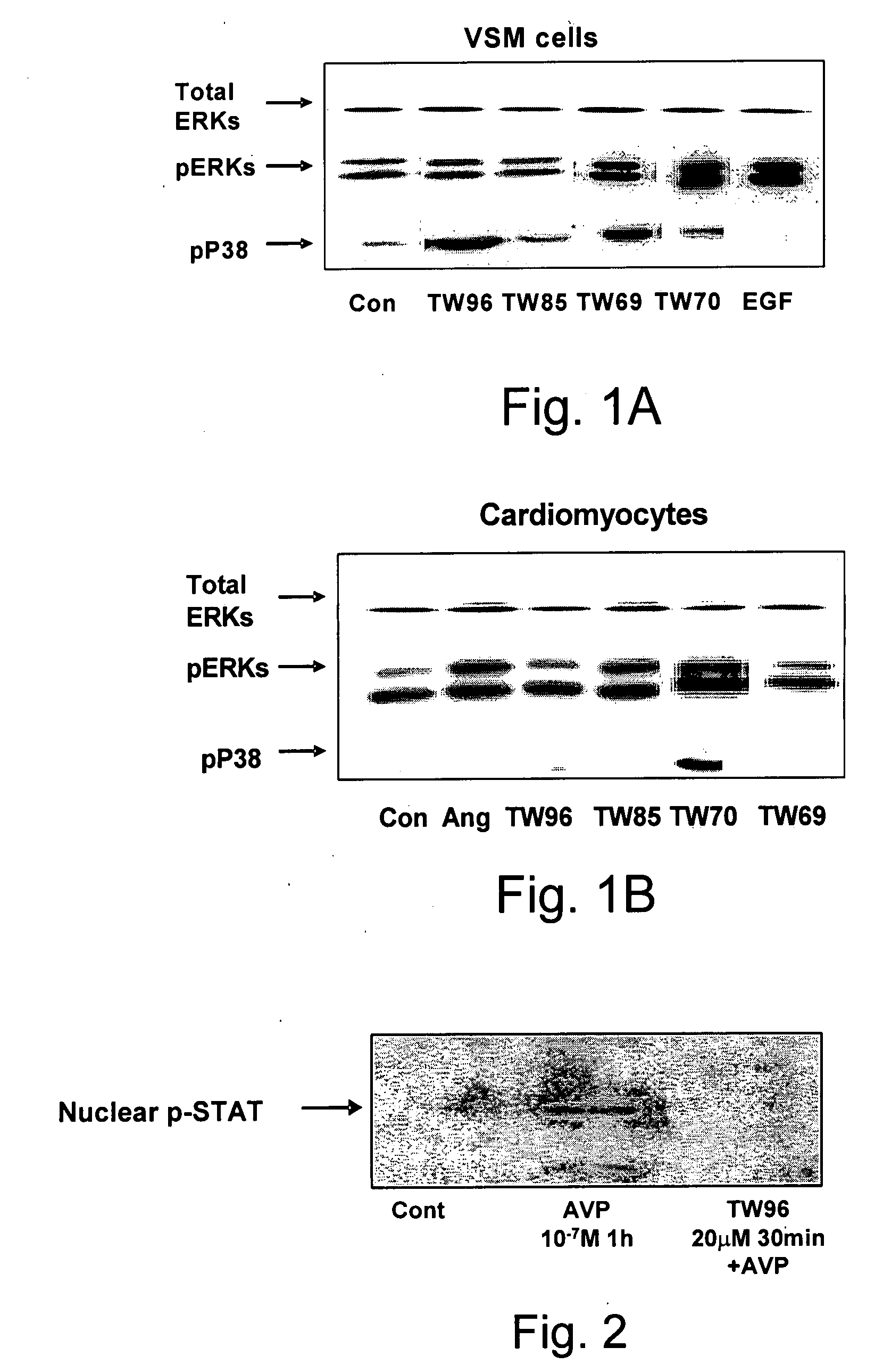 Novel Pyrrolidino-1,4-Naphthoquinone Deriviatives and their Use for Treating Malignancies and  Cardiovascular Diseases