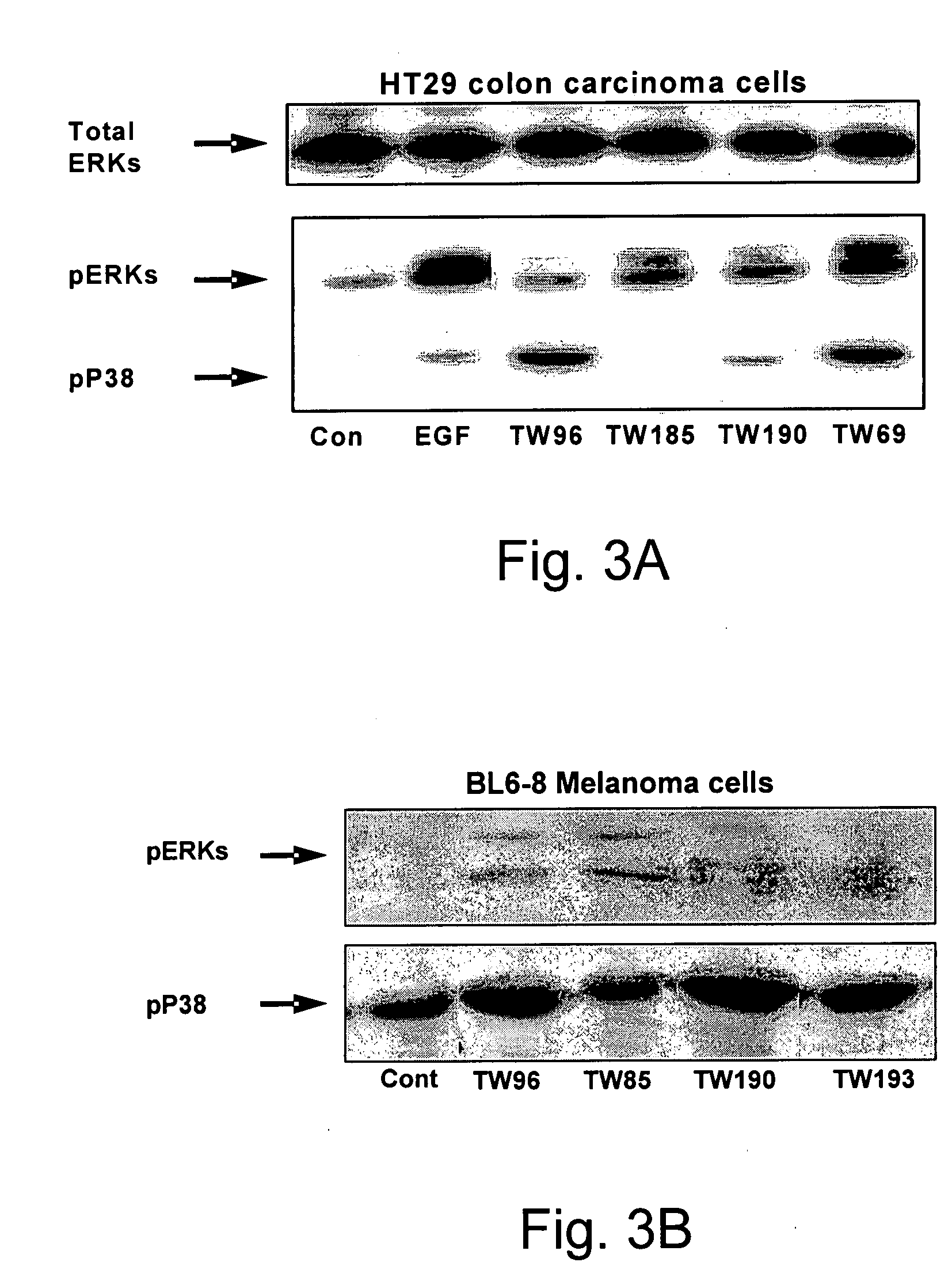 Novel Pyrrolidino-1,4-Naphthoquinone Deriviatives and their Use for Treating Malignancies and  Cardiovascular Diseases