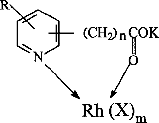 Catalytic system used for homogeneous hydroxylation reaction and its manufacturing method and application