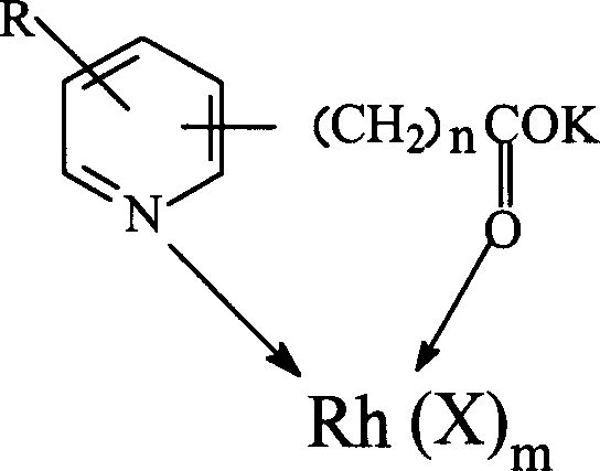 Catalytic system used for homogeneous hydroxylation reaction and its manufacturing method and application