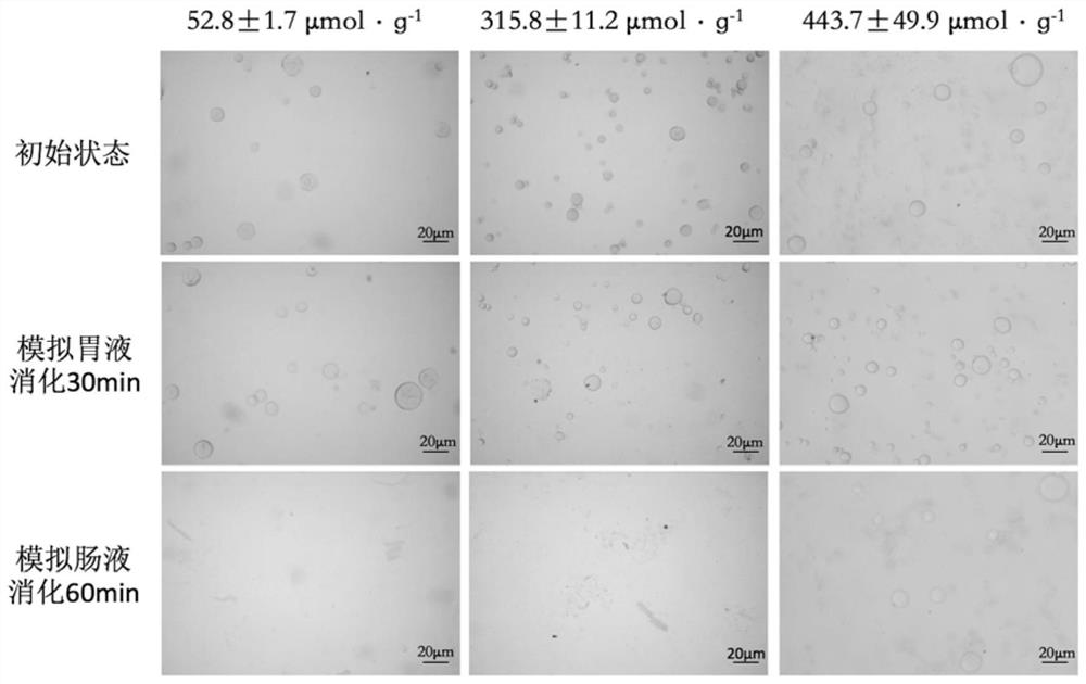 Application of Oxidized Konjac Microspheres in Food or Drug Delivery System