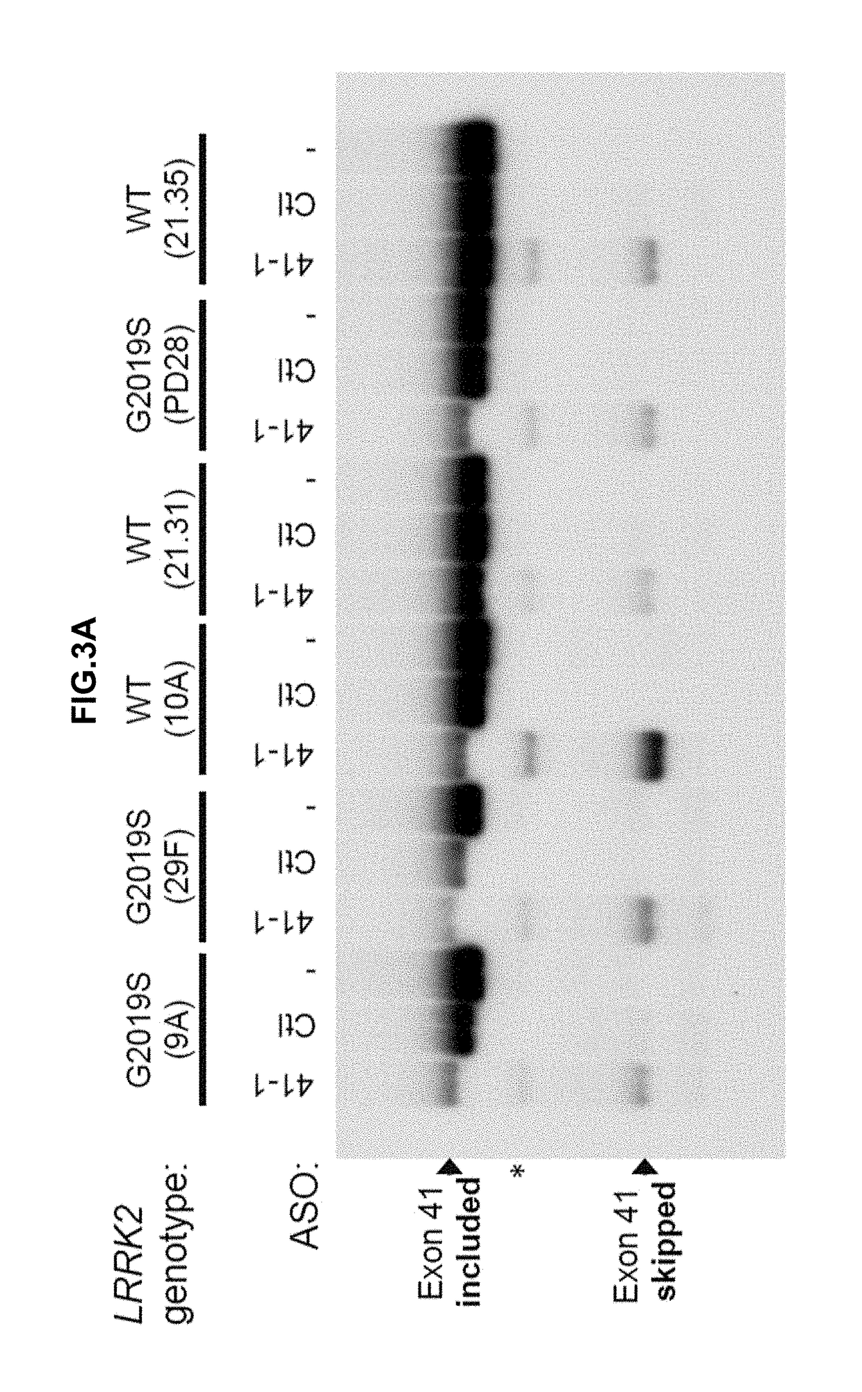 Antisense compounds targeting leucine-rich repeat kinase 2 (LRRK2) for the treatment of parkinsons disease