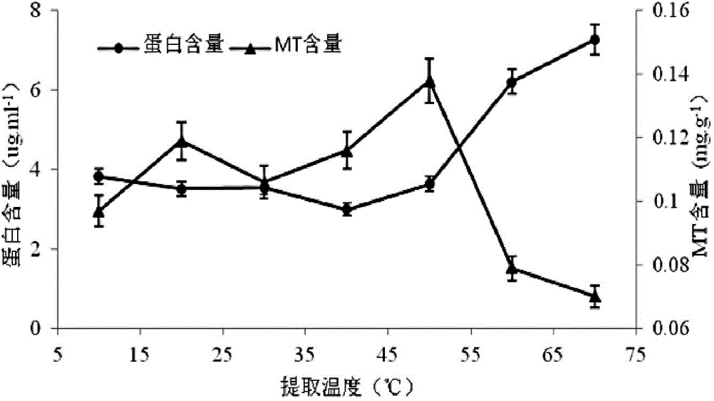 Metallothionein (MT) extraction and separation process for marine biological source efficient heavy metal removal agent