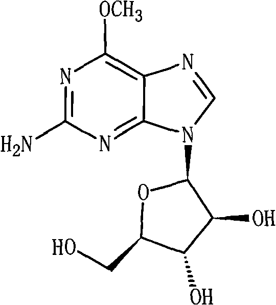 Nelarabine injection