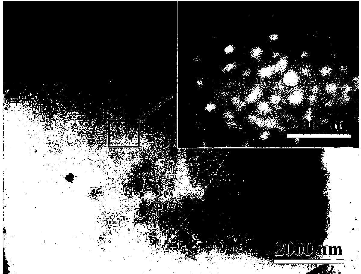 Oil-resistant silicon rubber and preparation method thereof by in-situ reaction