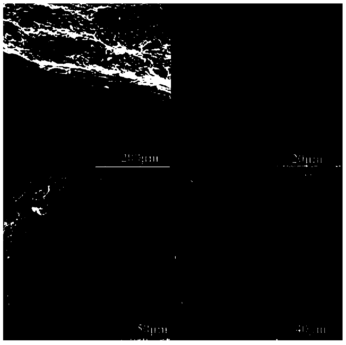 A kind of cerium-zirconium solid solution with high oxygen storage capacity prepared by using tobacco plant as a template and its preparation method