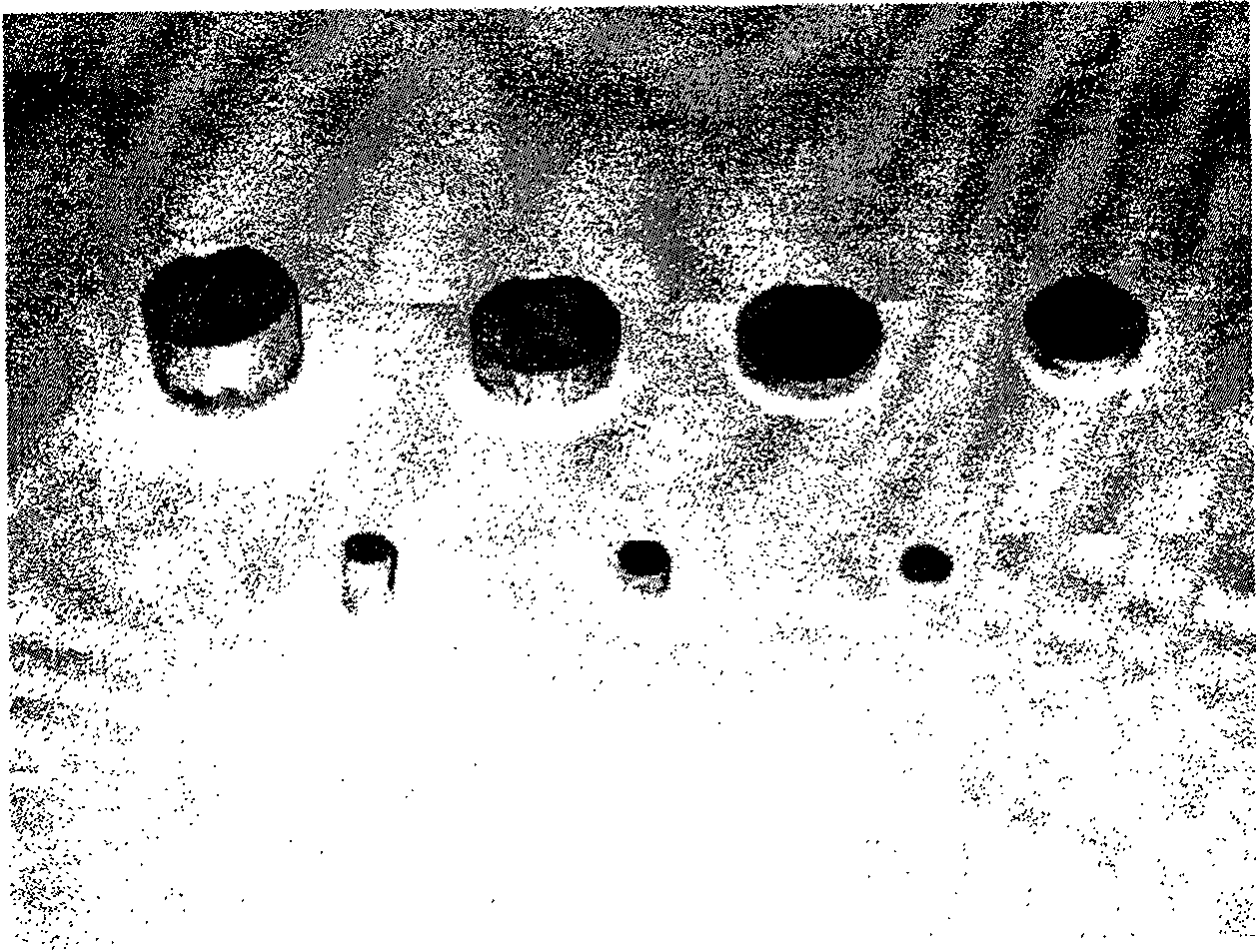 Method for preparing carbon covered nickel nano grain enhanced silver based composite material