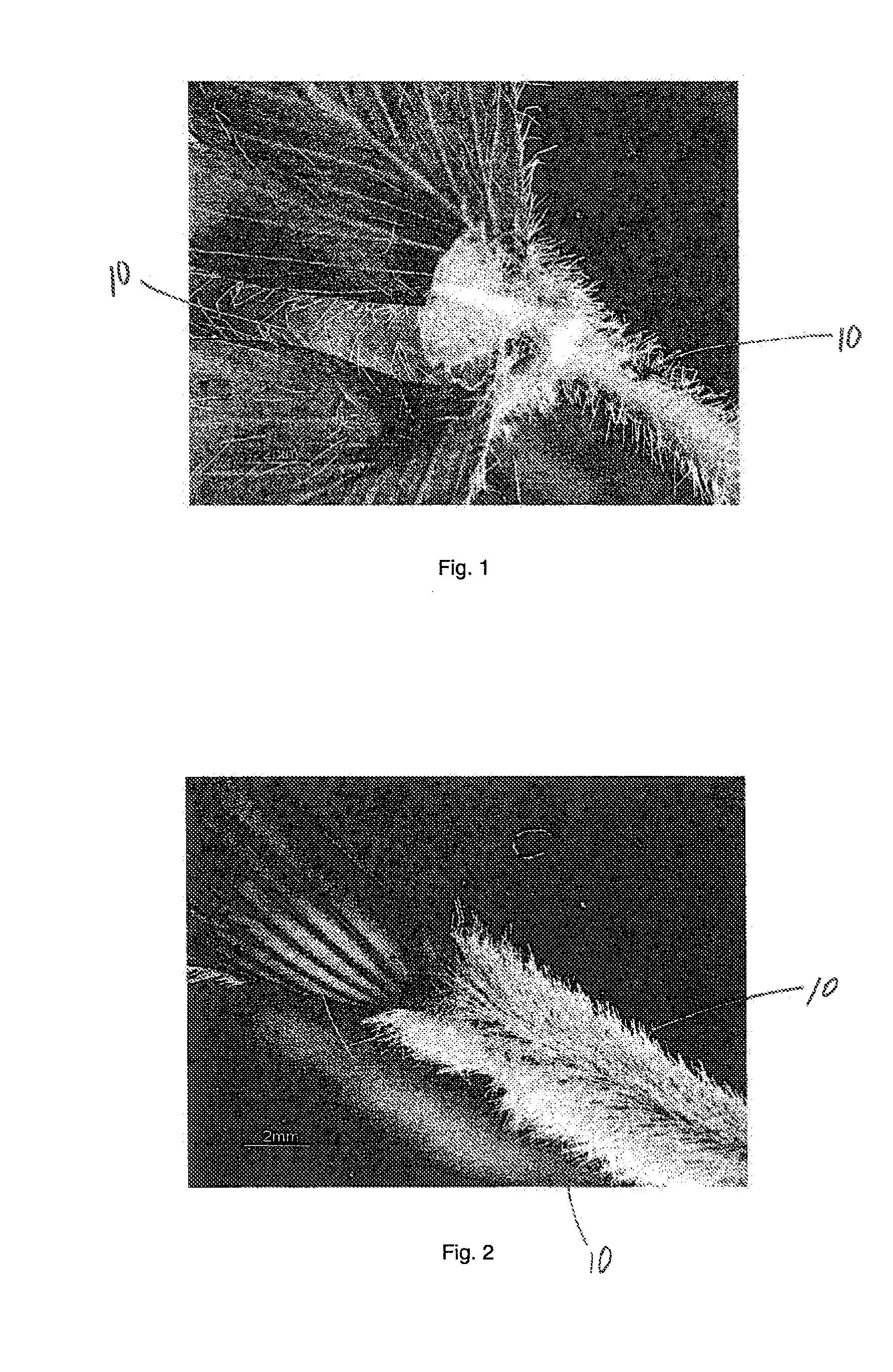 Soft and strong fibrous structures and methods for making same