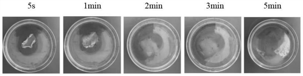 Full-biodegradable thermoplastic water-soluble film based on vinasse waste as well as preparation method and application of full-biodegradable thermoplastic water-soluble film