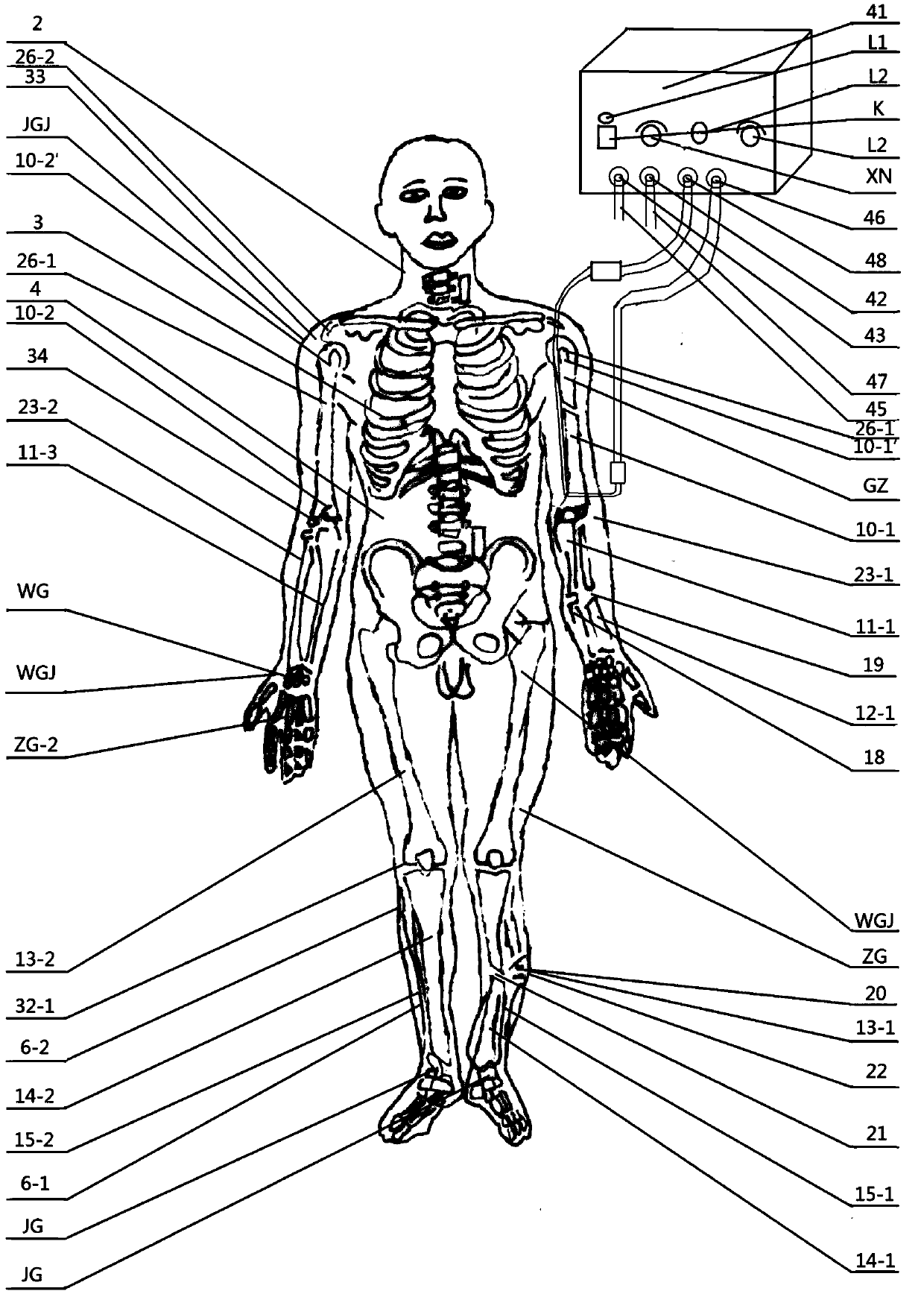 High-simulation multi-operation skill training examination model for orthopaedics first-aid