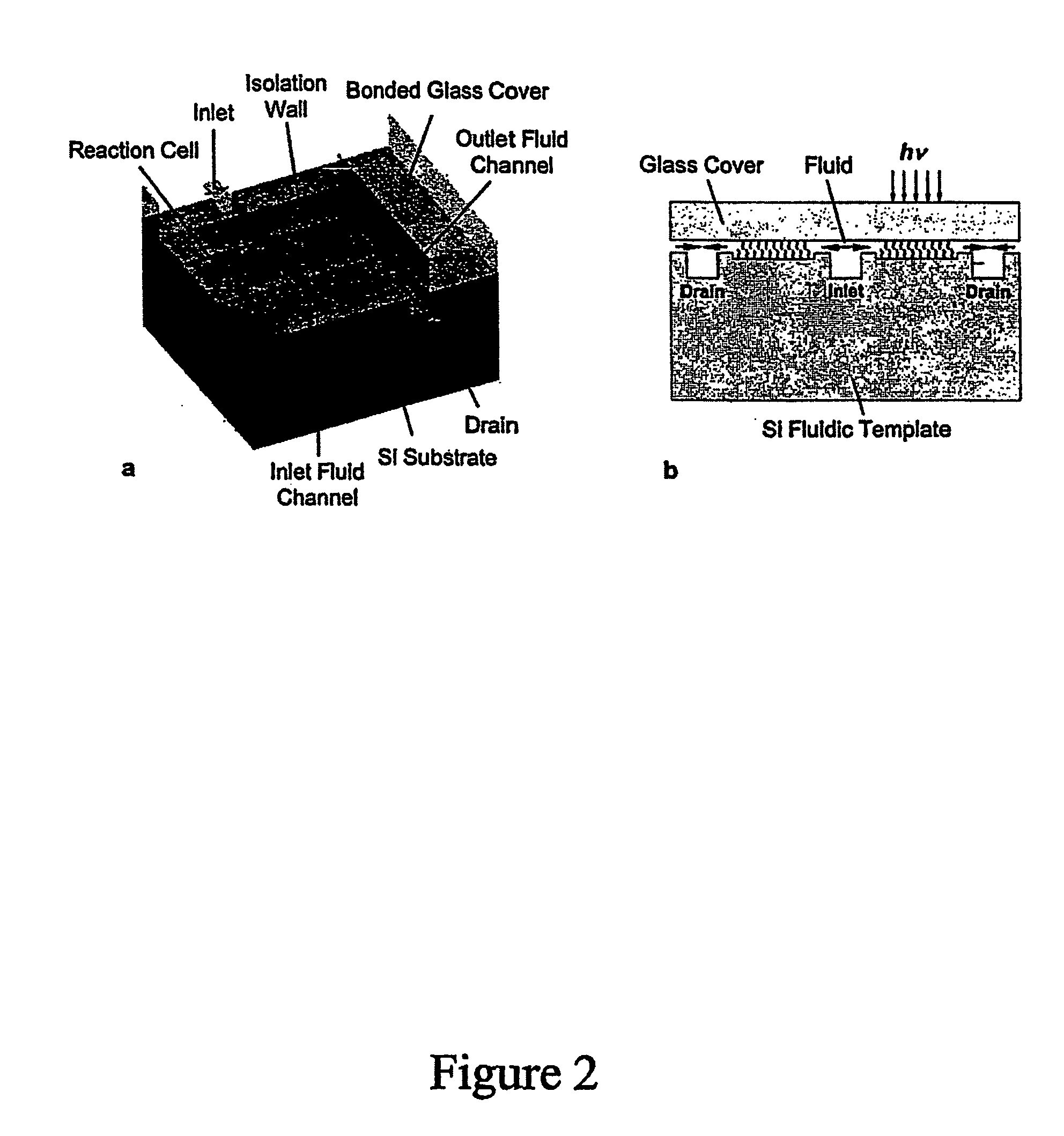 Array oligomer synthesis and use