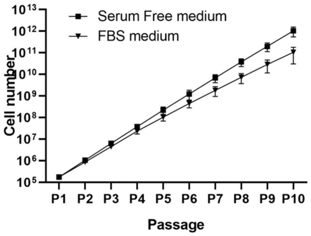 Mesenchymal stem cell serum-free medium and application thereof