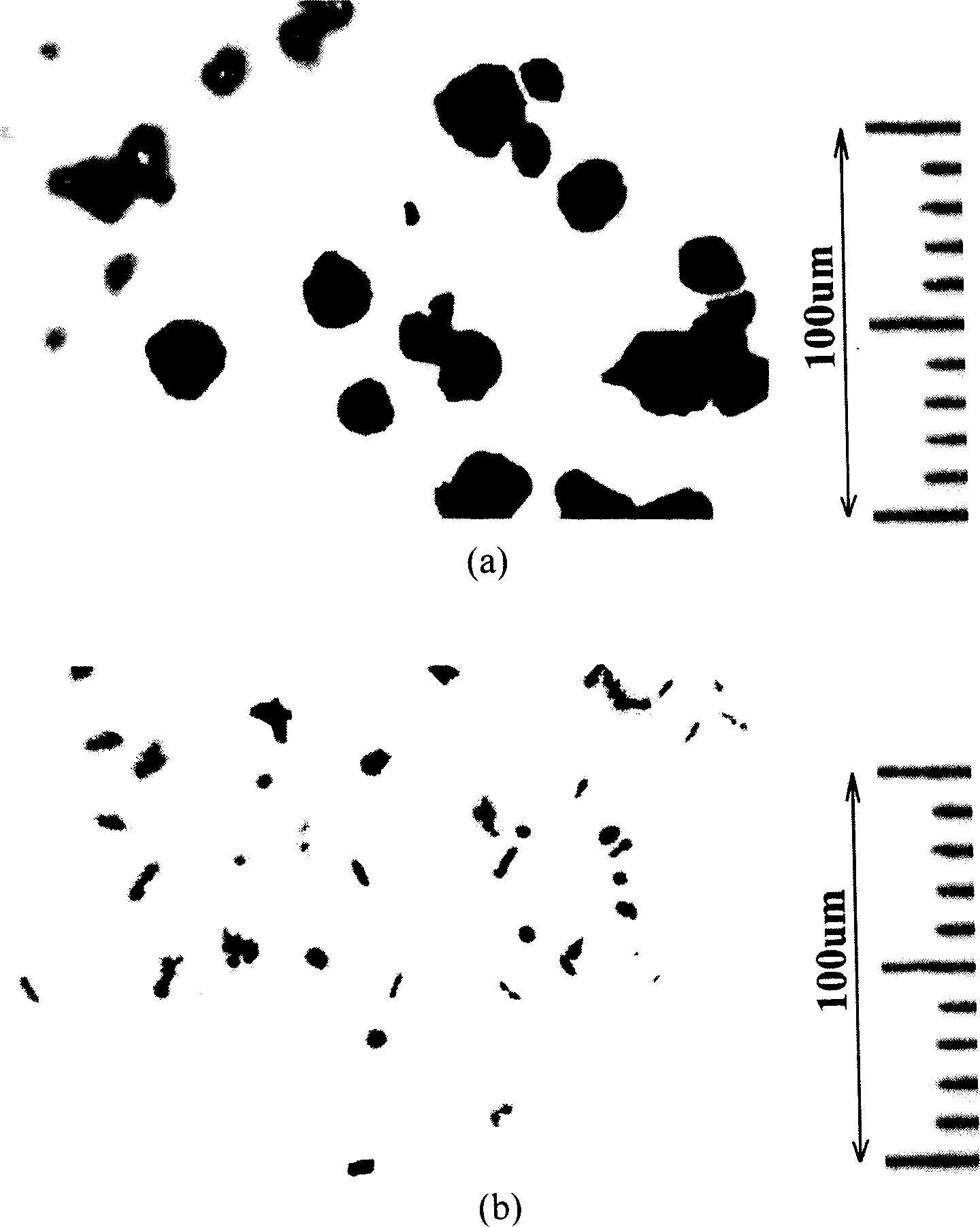 Method for preparing sustained-release miniball