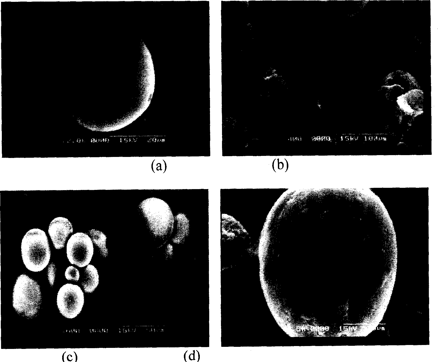 Method for preparing sustained-release miniball