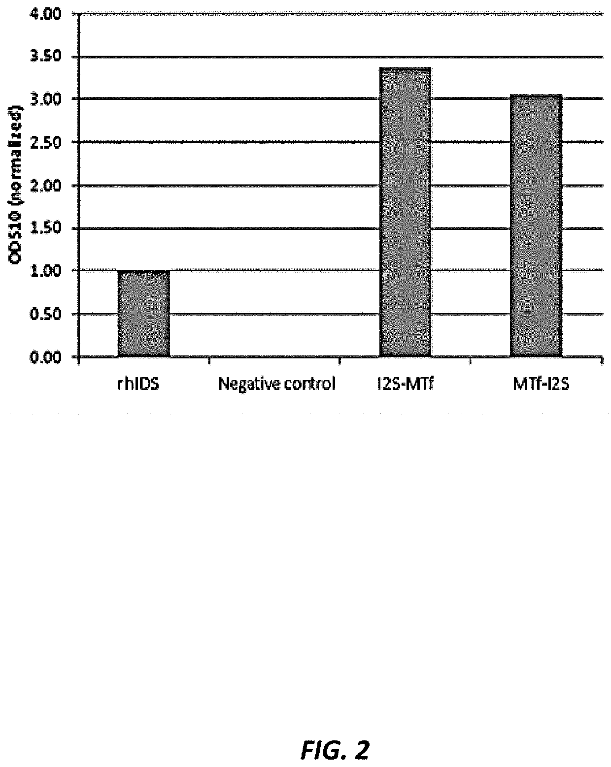 P97-ids fusion proteins