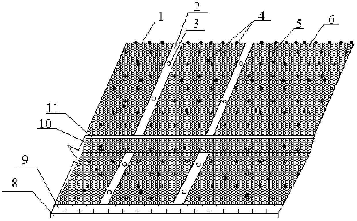 Reorganization and expansion highway slope protection system