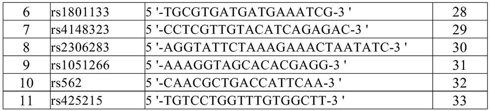 Instruction method for irinotecan individualized-medication genes and kit