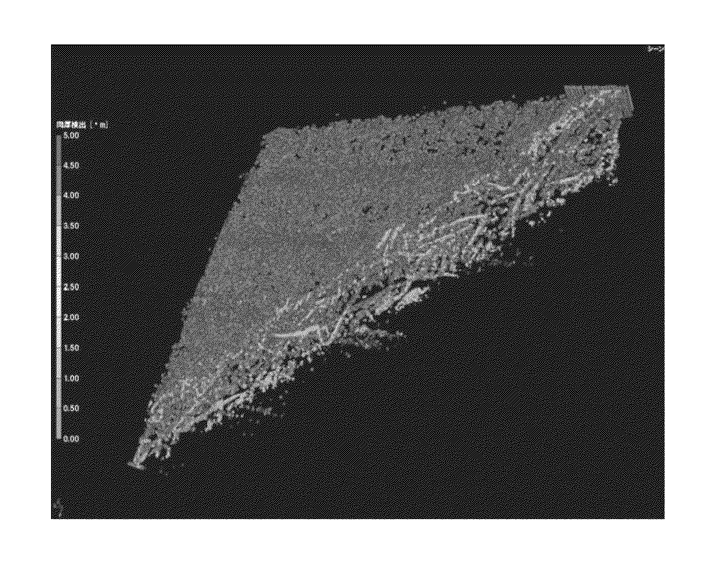 Porous membrane and process for preparing the same