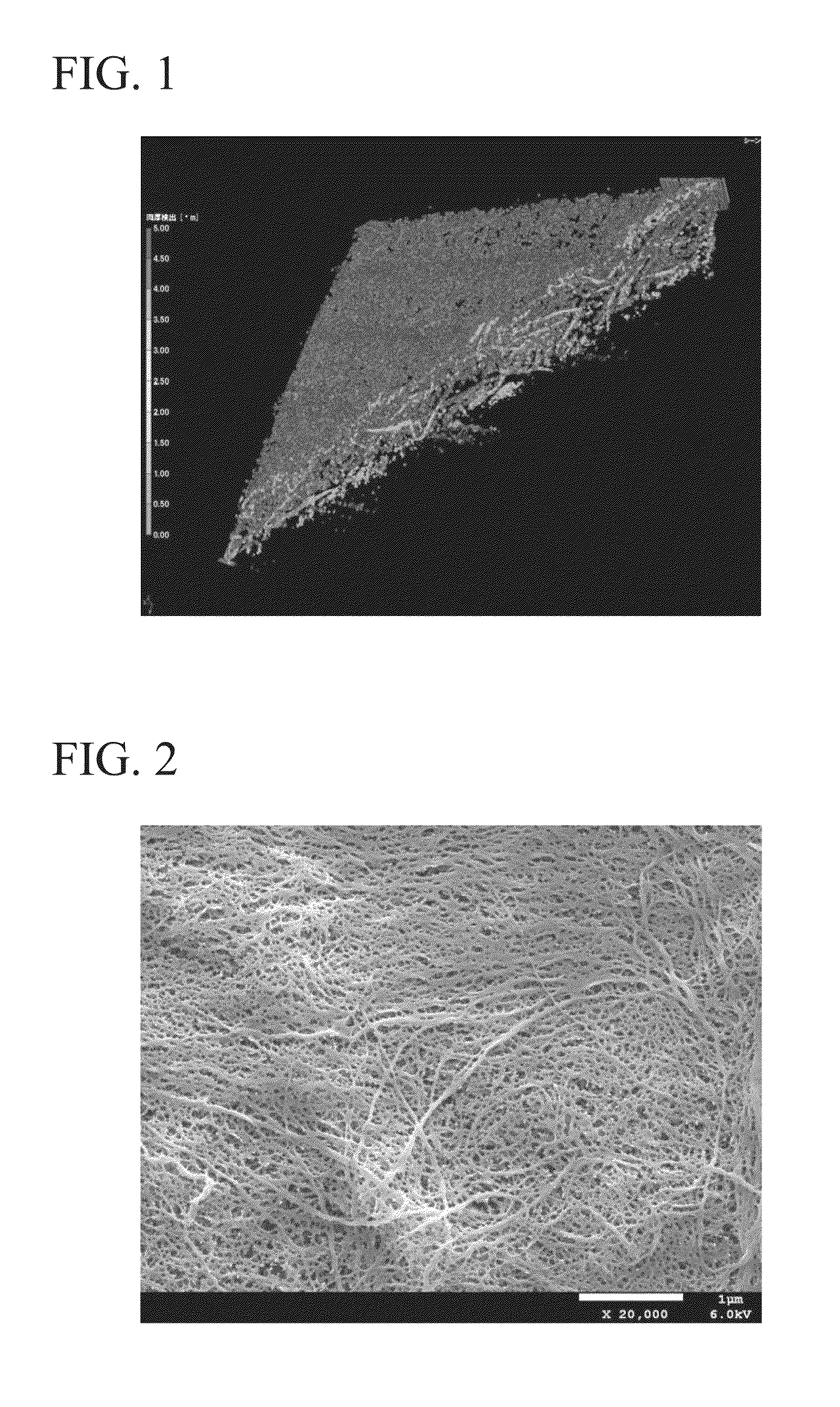 Porous membrane and process for preparing the same