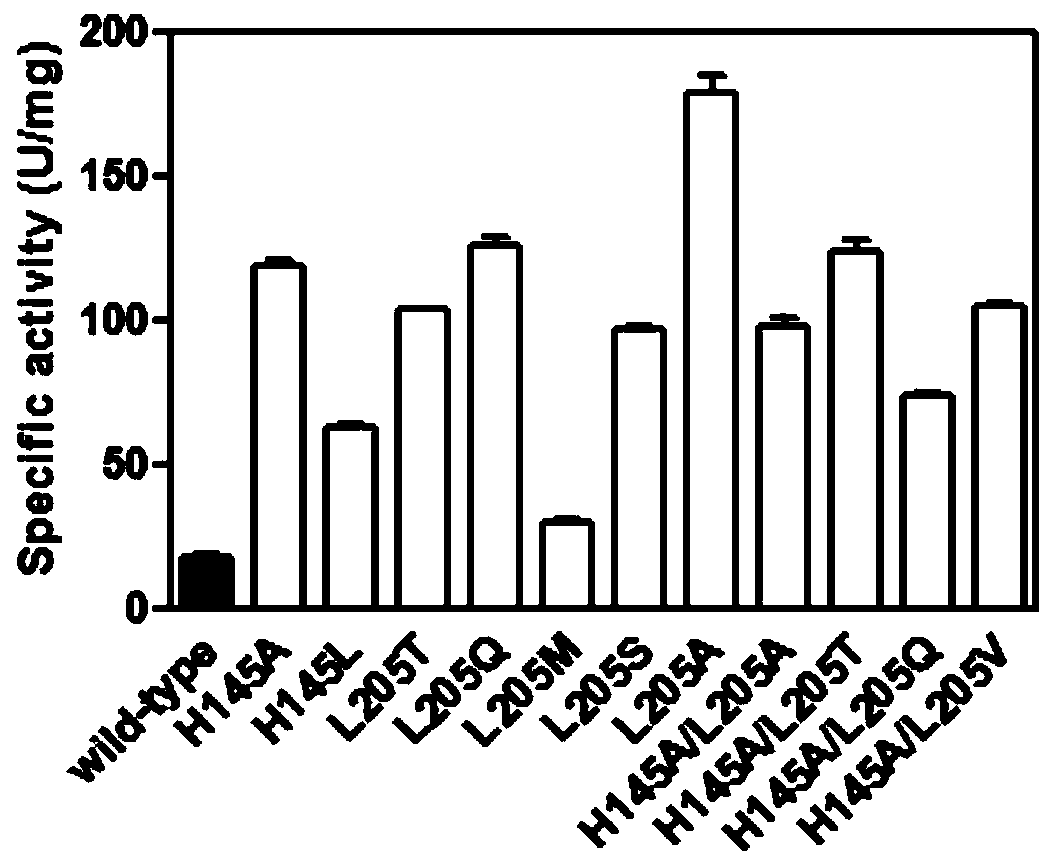 Carbonyl reductase ChKRED20 mutant and use thereof