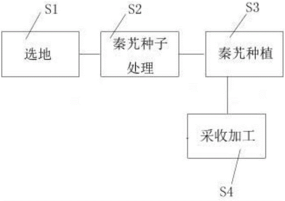 Method for interplanting gentian macrophylla on forest land in imitating wild condition