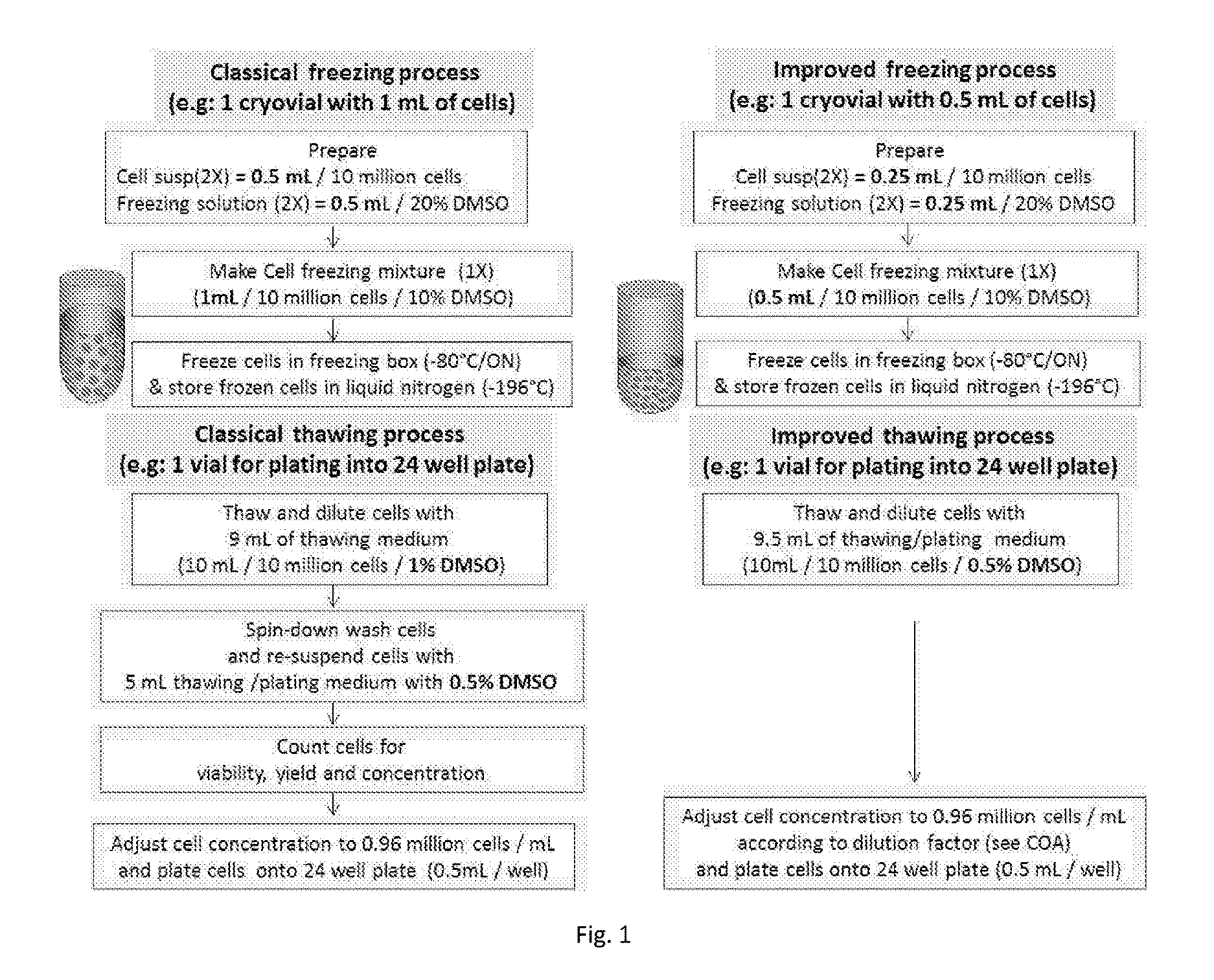 No-spin cryopreservation technique and resulting products