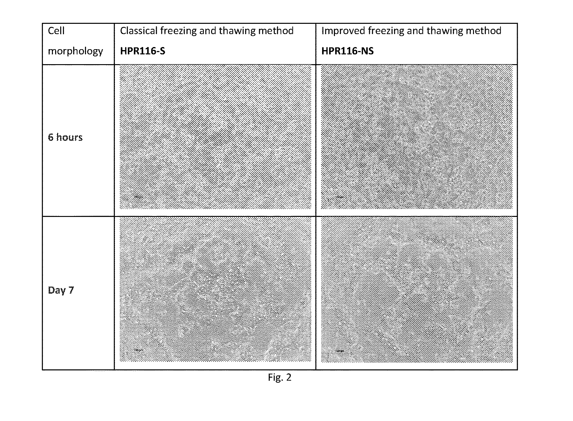 No-spin cryopreservation technique and resulting products