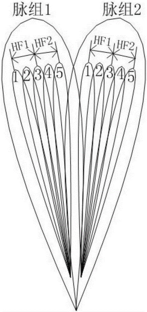 Direction finding method based on time sequence packet filtering and amplitude difference gradual approximation