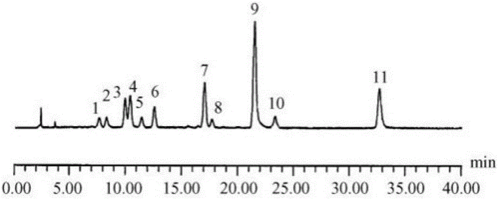 Preparation method and application of plant source complex preservative