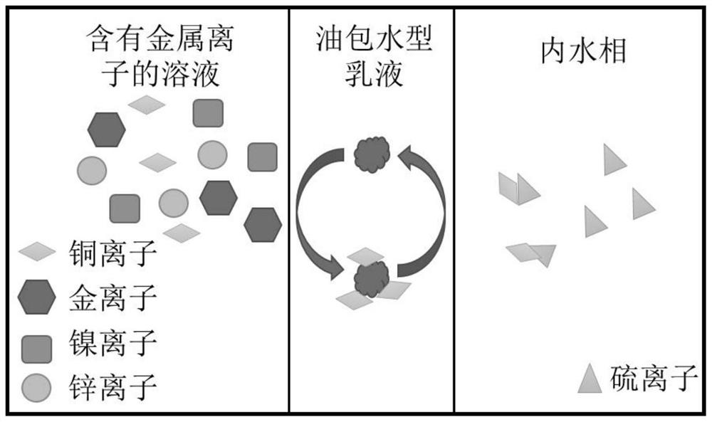 Water-in-oil emulsion as well as preparation method and application thereof