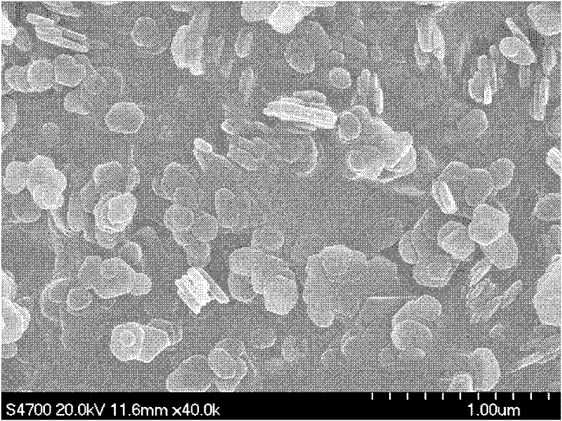 Method for preparing magnesium hydroxide utilizing light-burned dolomite powder