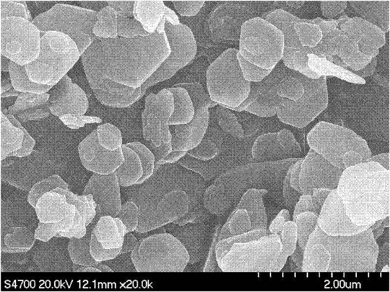 Method for preparing magnesium hydroxide utilizing light-burned dolomite powder