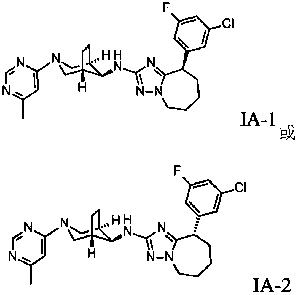 Triazolo-azepine derivatives