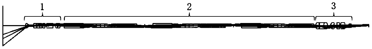 Hard Tube Endoscope Optical Imaging Display System