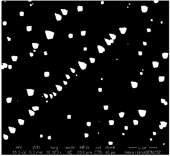 Formula of single-crystal silicon texturing additive containing polysaccharide and alcohol