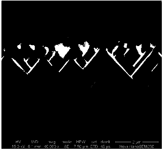 Formula of single-crystal silicon texturing additive containing polysaccharide and alcohol