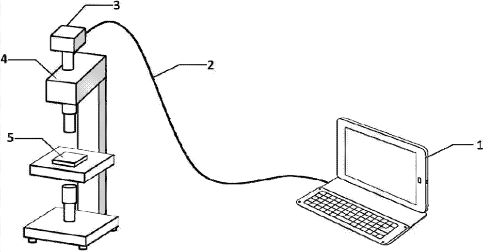 Myocardial cell mechanical beating detection method based on optical image analysis