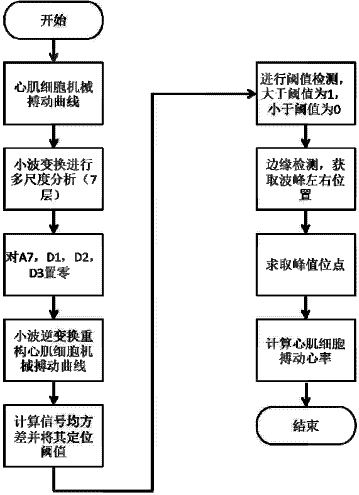 Myocardial cell mechanical beating detection method based on optical image analysis