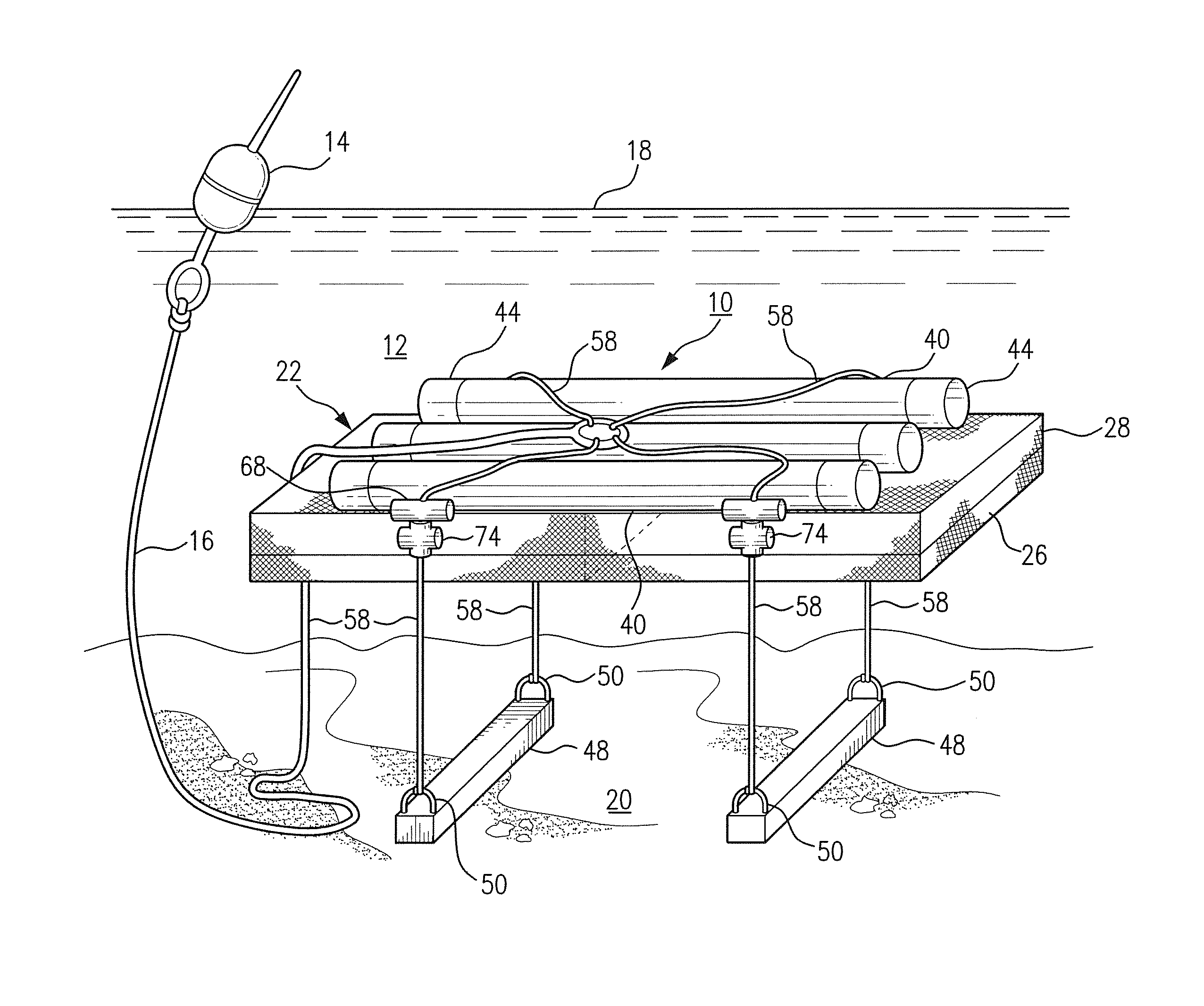 Molluscan bivalve cage system