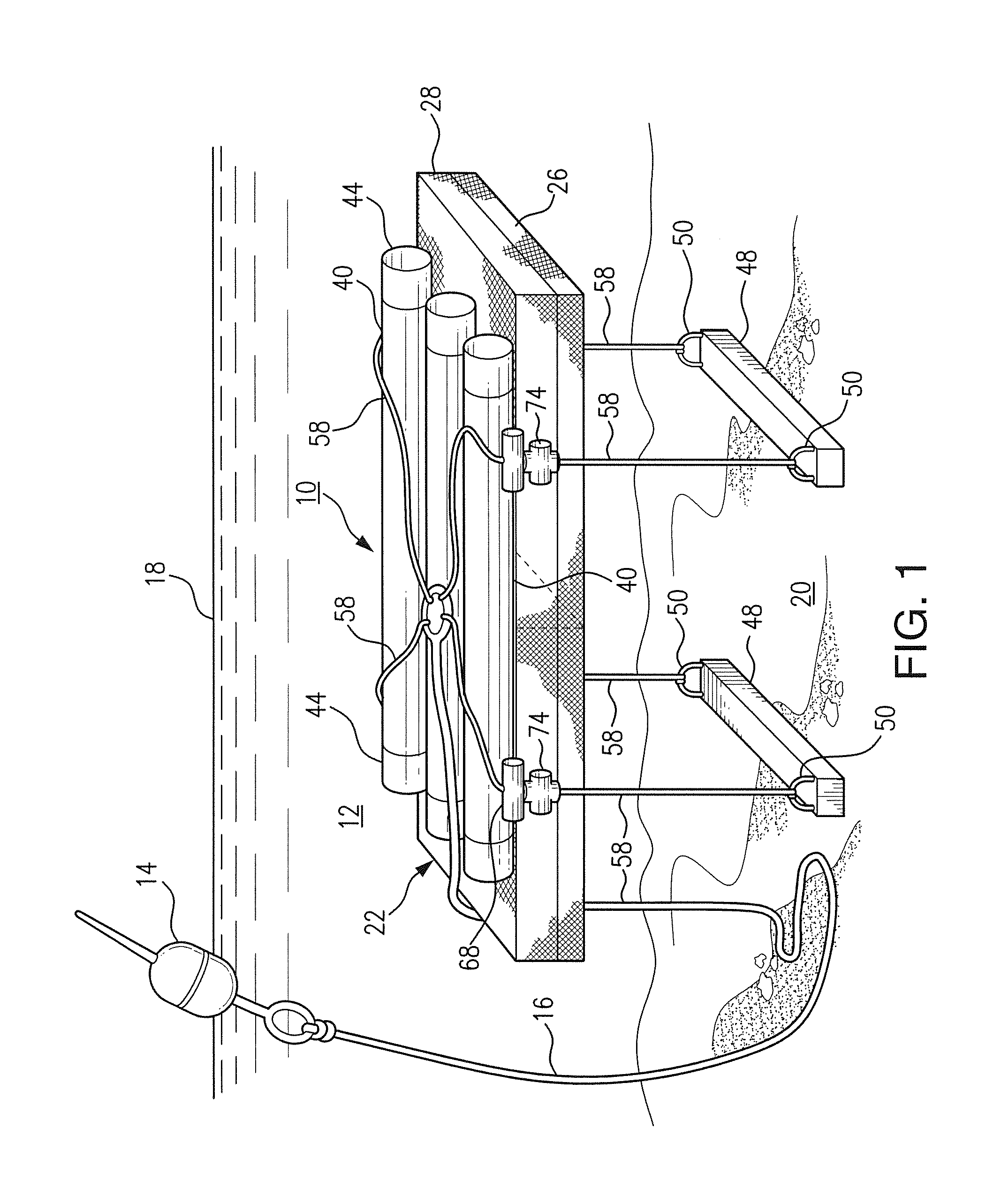 Molluscan bivalve cage system