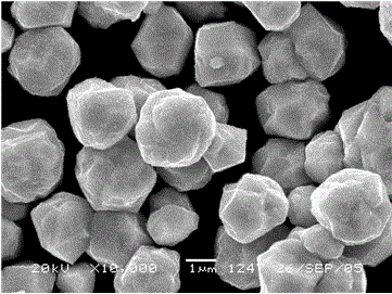 Medical tantalum powder and preparation method thereof