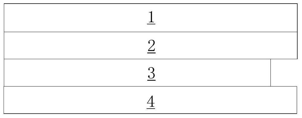 Organic light-emitting display panel and electronic equipment