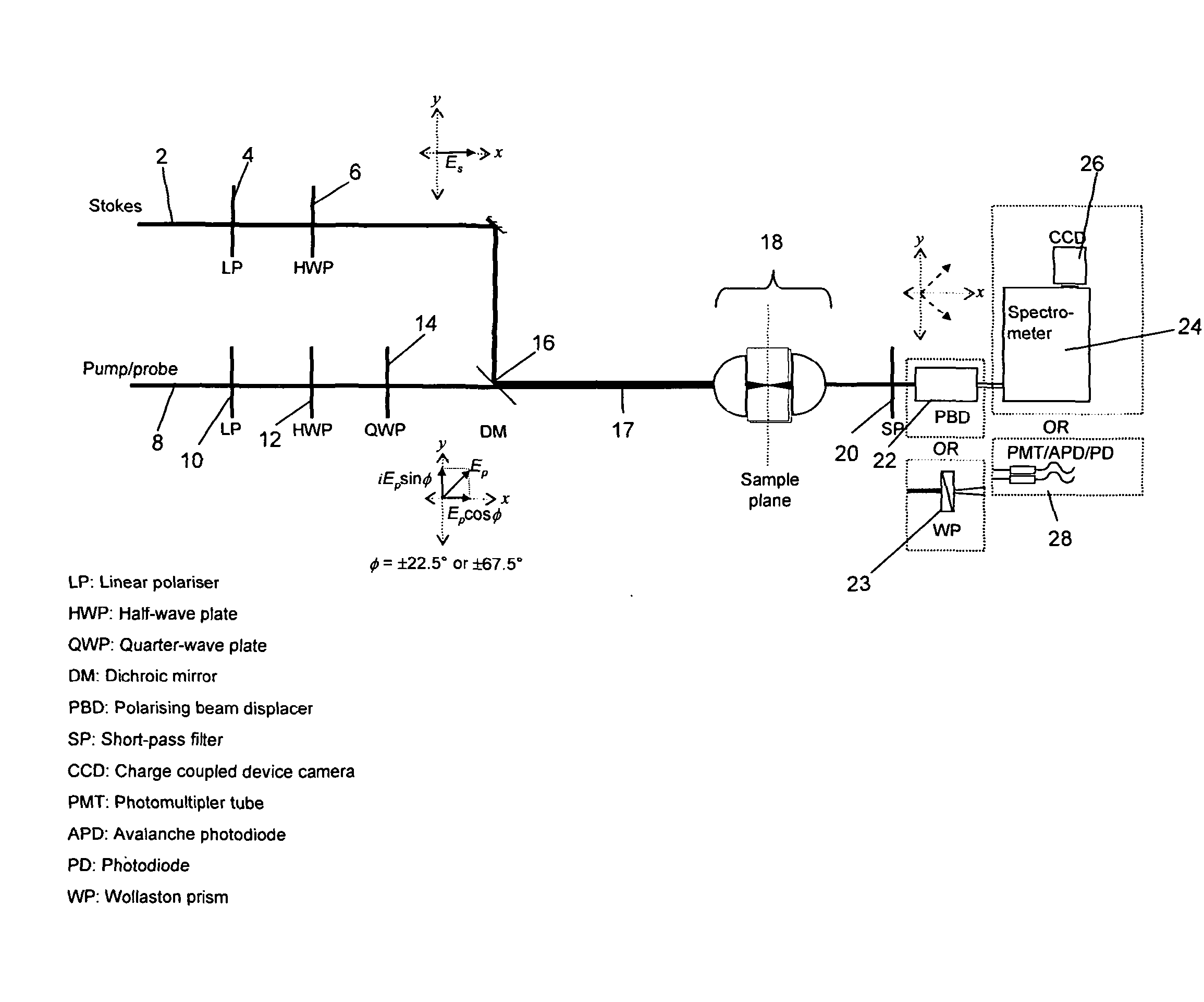 Method and apparatus for non-resonant background reduction in coherent Anti-stokes raman scattering (CARS) spectroscopy