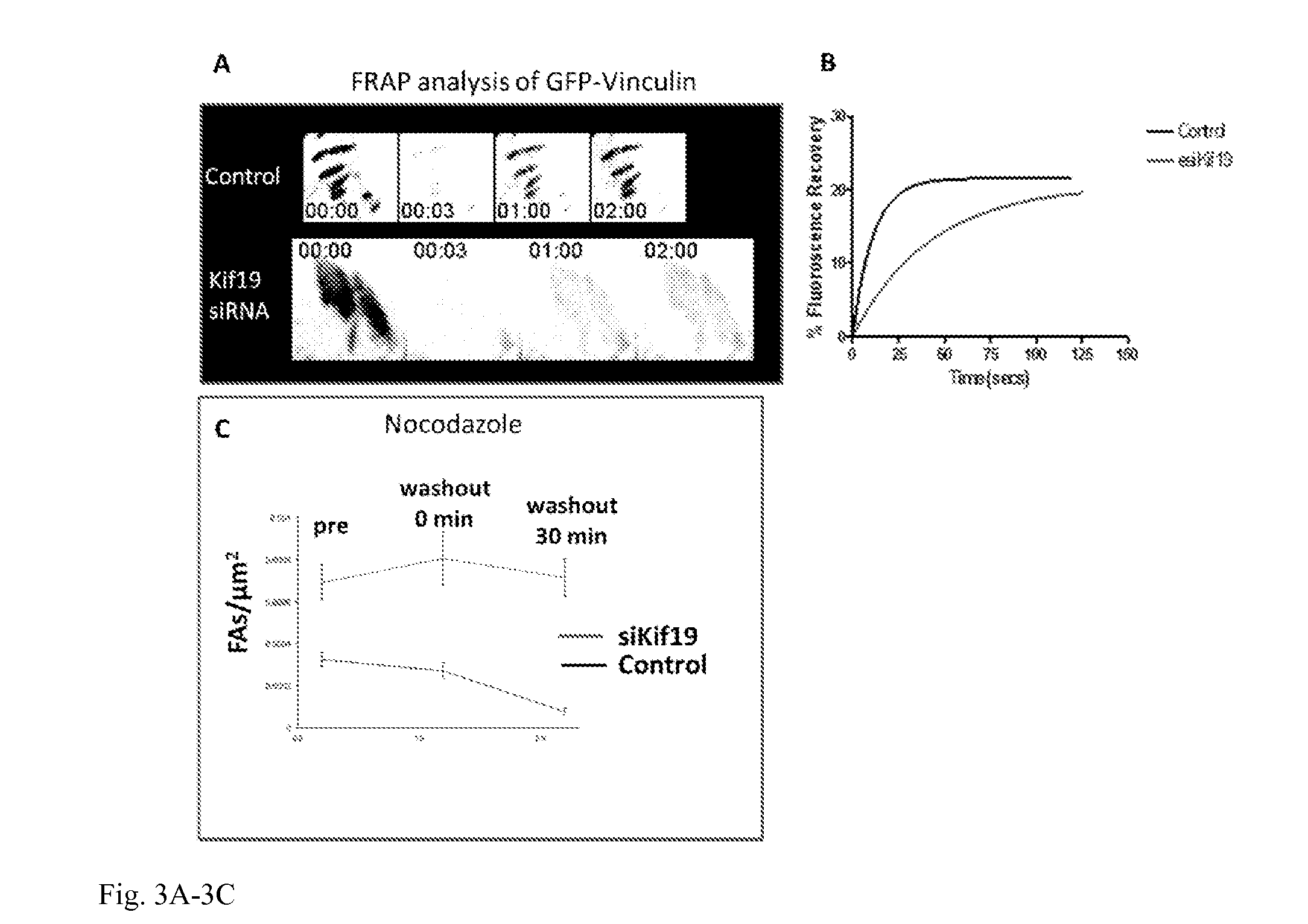 Methods and compositions to inhibit metastasis and to treat fibrosis and to enhance wound healing