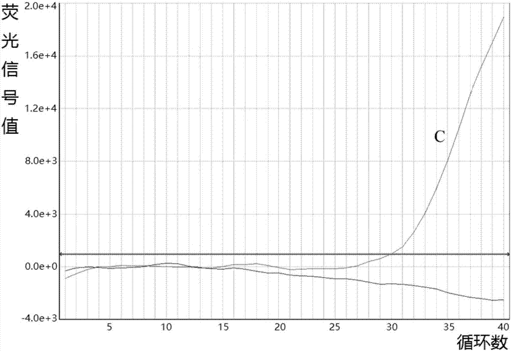 Fluorescent quantitative PCR detection kit for mitochondrial deafness C1494T mutation and application thereof