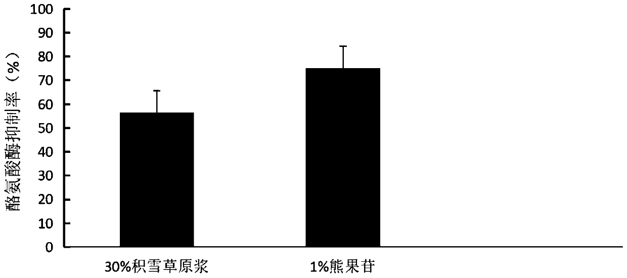 Asiatic pennywort herb fermented raw stock as well as preparation method and application thereof