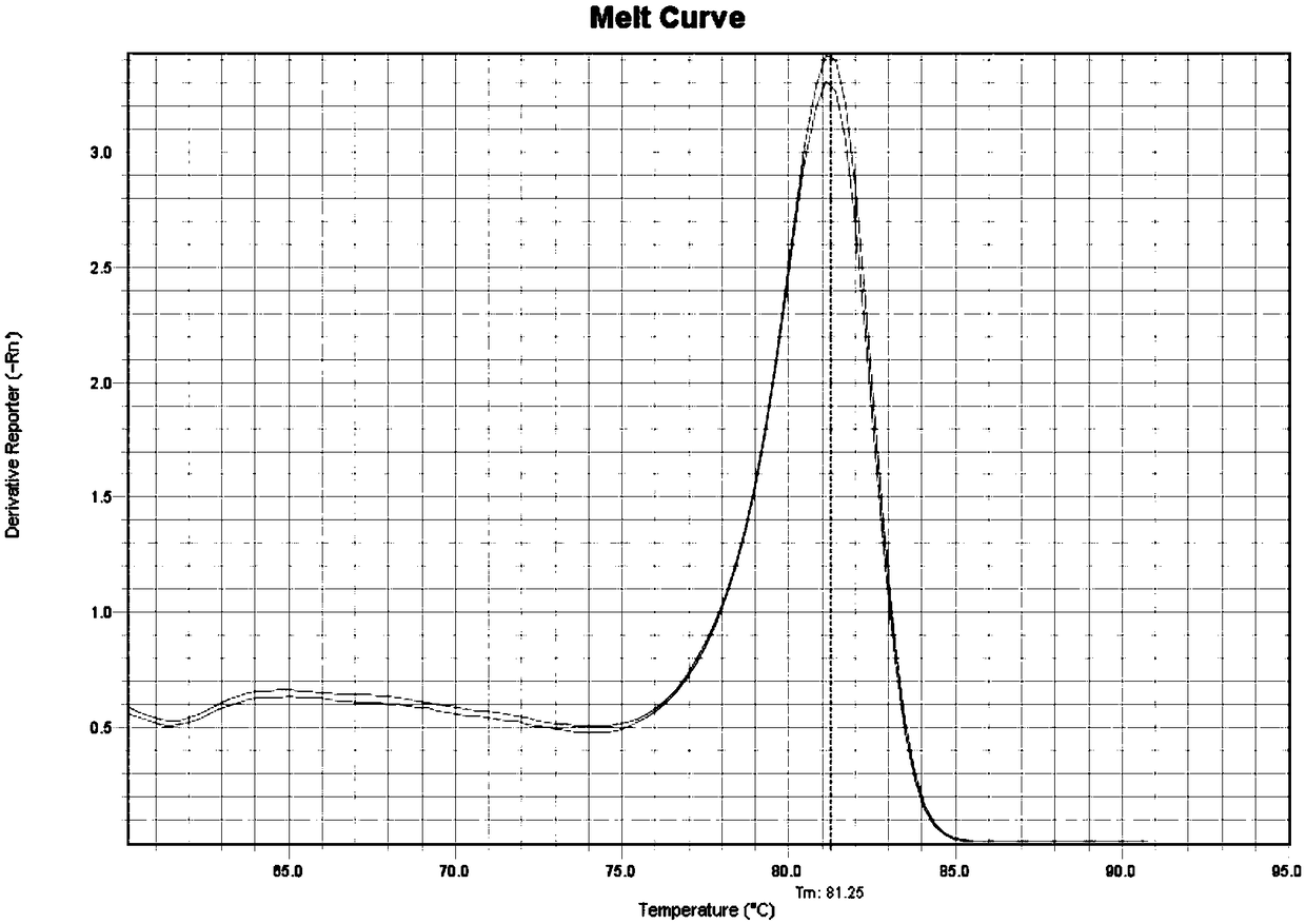 Primer combination for monitoring free tumor DNA, kit and application