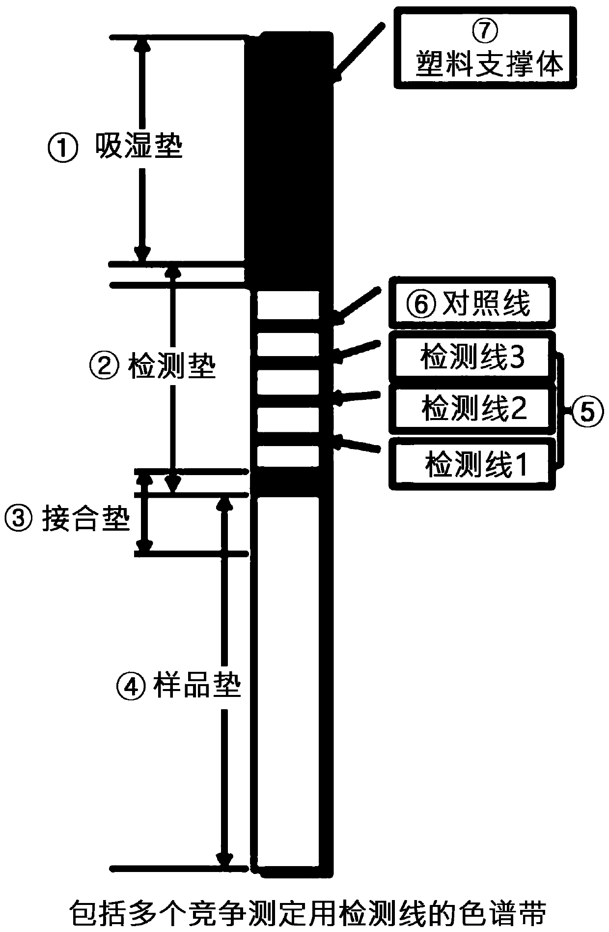 Chromatographic strip comprising multiple test lines, diagnostic kit comprising same, and qualitative, semi-quantitative or quantitative analysis method comprising multiple competitive reaction measurement steps